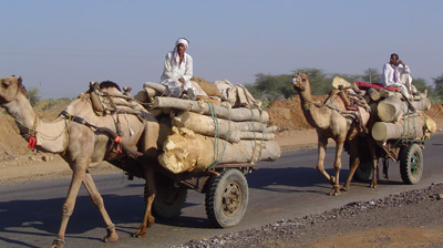 Future widespread transportation system in Mid-East countries